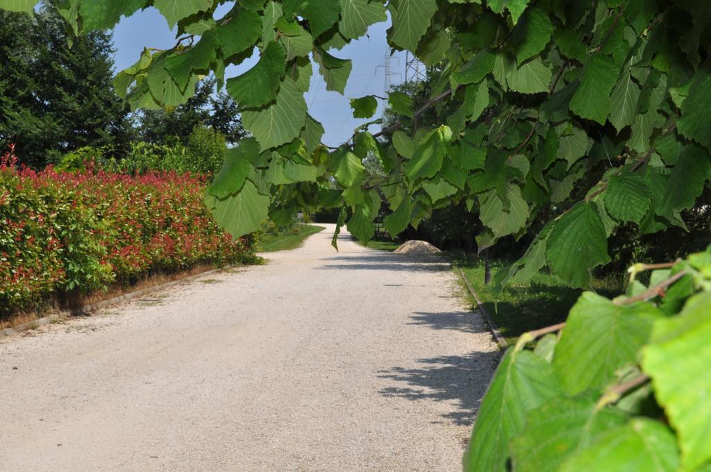 Casa Vacanza E Per Lavoro Tessyhouse Spinea Εξωτερικό φωτογραφία
